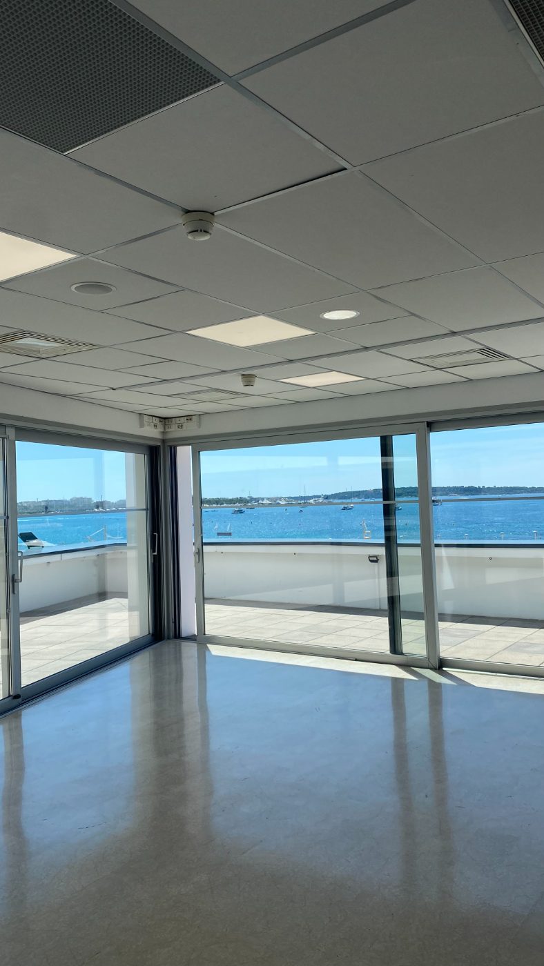 An empty meeting room on the top floor of the Palais, looking at the bay. Two days later I was in one like it, with someone who runs a billion-euro company.